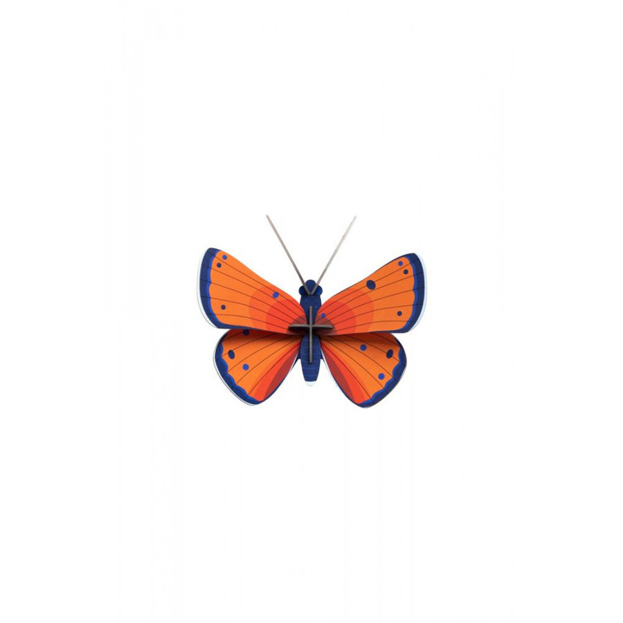 Dekoracja ścienna - Motyl Miedziany