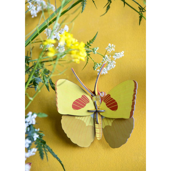 Motyl Żółty - Yellow Butterfly - Studio Roof